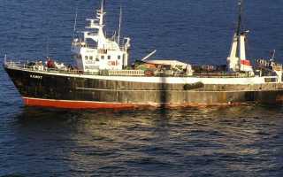 Японское моря экологическая обстановка