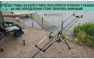 Основы фидерной ловли для начинающих