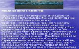 Доклад животного черного моря