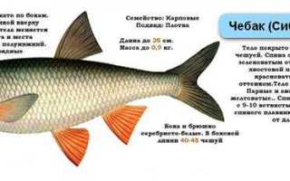 Крючок на плотву номер
