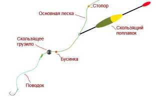 Оснастки на карася, 8 лучших типов