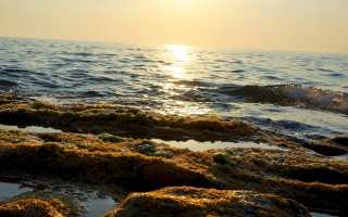 Азовское море площадь акватории