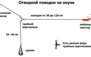 Как правильно собрать спиннинг для начинающих для разных условий ловли