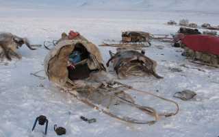 История северно ледовитого моря