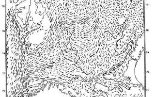 Морские течения баренцева моря