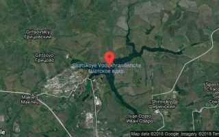 Летняя и зимняя платная рыбалка в «Сосенках» — правила ловли