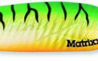 Обзор блесны Blue Fox Esox