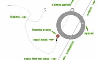 Ловля леща на кольцо: принципы монтажа и техника ловли