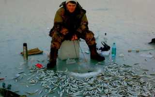 Ловля корюшки весной на удочку