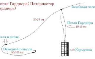 Как ловить линя на фидер?