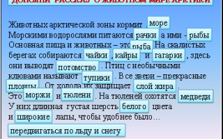 Животных арктической зоны кормит море