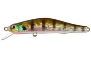 Обзор воблера ZipBaits Orbit 80SP и 110SP. Отзывы рыболовов о воблере Зип Бейтс Орбит 80 и 110 СП
