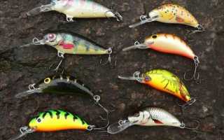 Rapala Dives -To Fat