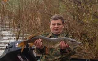 Рыбалка в Нижегородской области