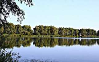 Рыбалка в Республике Мордовия: лучшие места на карте ТОП-10