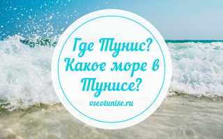 Какое море омывает берега туниса