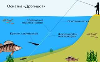 Что такое оснастка Дроп шот на судака?